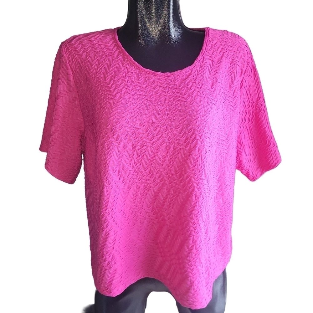 Alia Hot Pink Textured Short Sleeve Top 2X